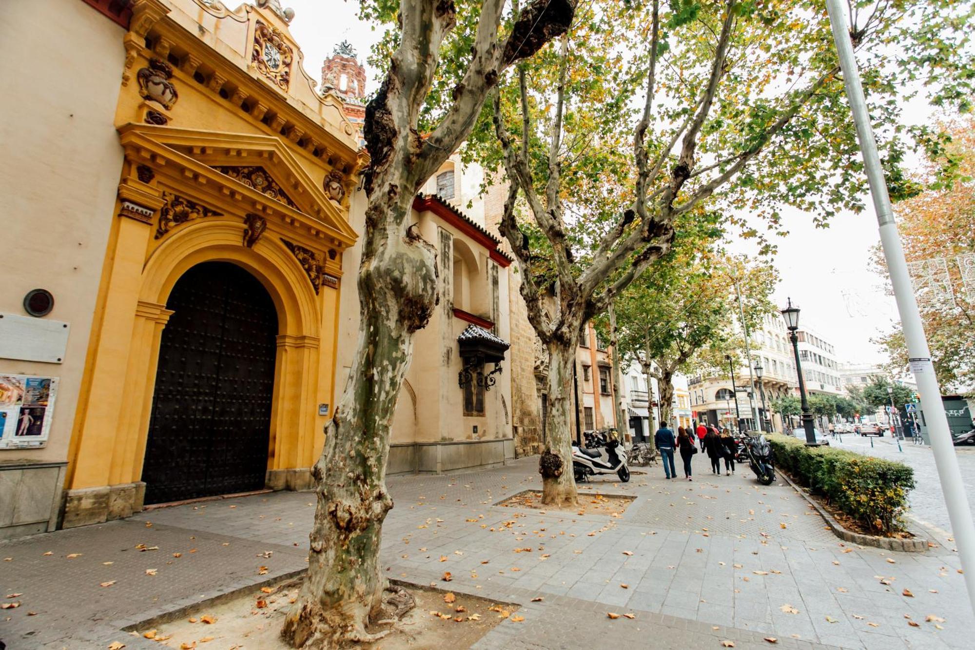 Plaza De La Magdalena I, Centro Historico *